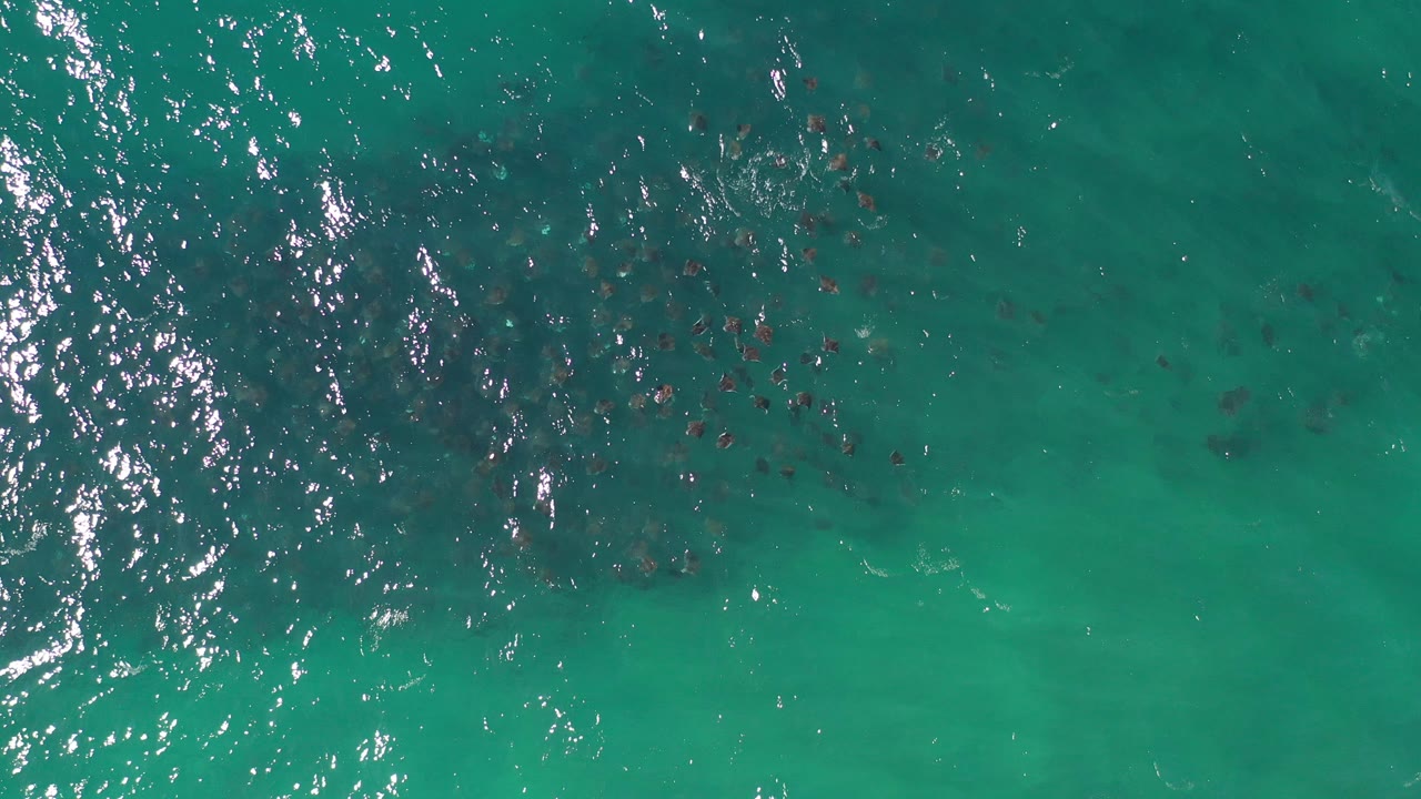 Overhead view of blue-green ocean water in Los Cabos, Mexico, with bright glare on the left side, scattered dark underwater patches, and no visible people.