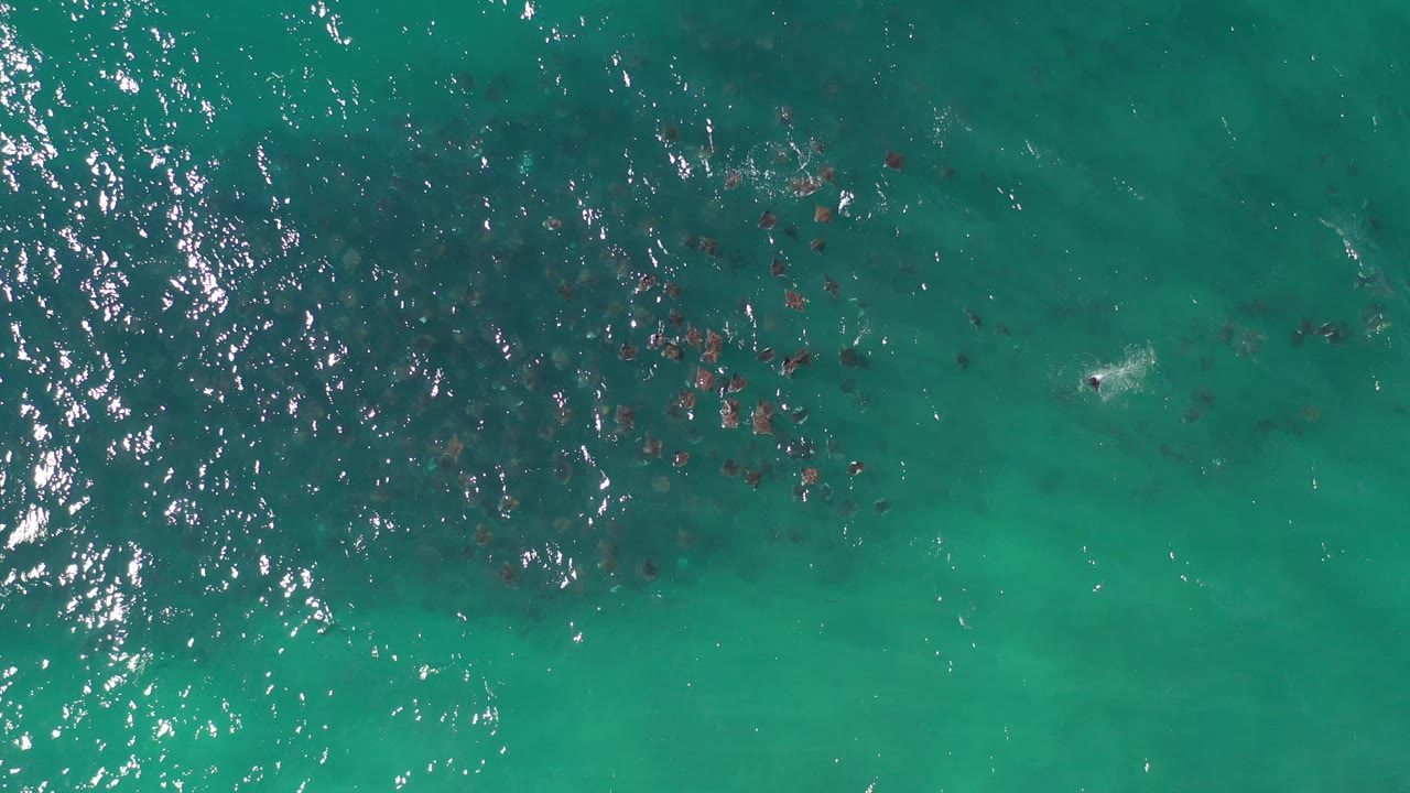 Overhead ocean water with dark patches and a small white foam mark.