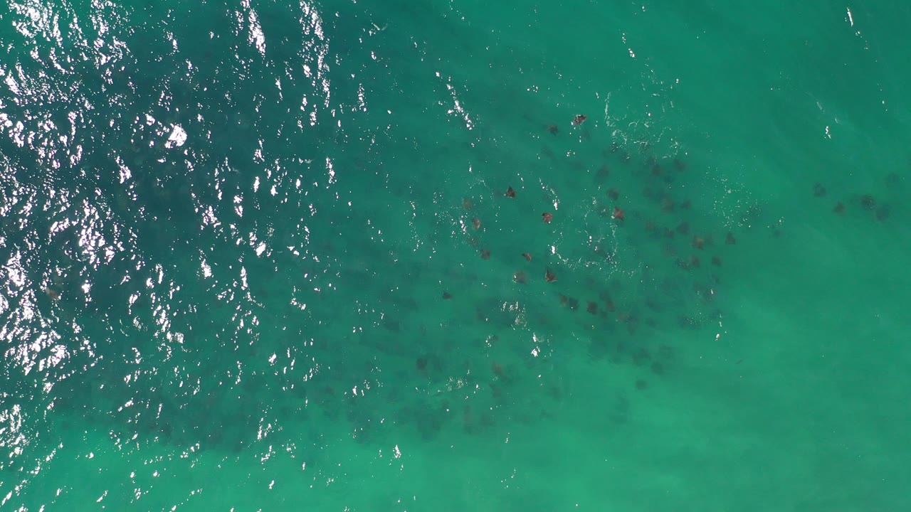 Overhead turquoise water with sun glints and dark submerged patches.