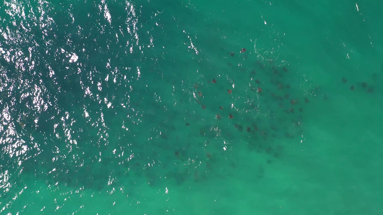 Top-down Los Cabos seawater fills the frame with a broad band of bright surface glitter and scattered darker marks under the green-blue water, no visible people.