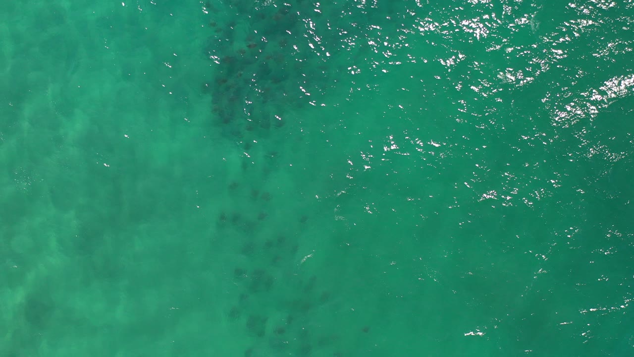 Top-down view of green ocean water in Los Cabos with faint darker underwater patches near the left side and no visible people.