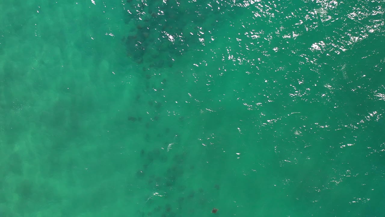 Aerial green sea surface with scattered white sparkle and muted darker areas below.