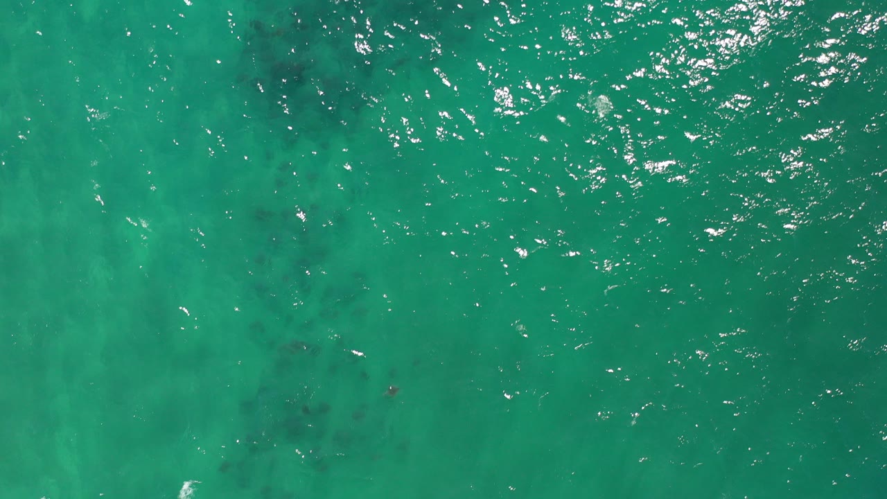 Top-down view of green-turquoise ocean water in Los Cabos, Mexico, with bright ripples near the top edge, faint dark fish shapes below the surface, and no visible people.