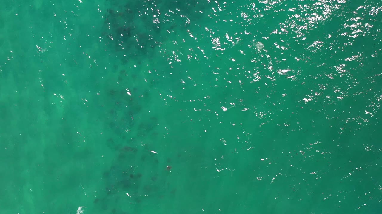 Overhead Los Cabos water frame with dense white sun glints across the upper surface, soft vertical color bands, faint fish shapes below, and no visible people.