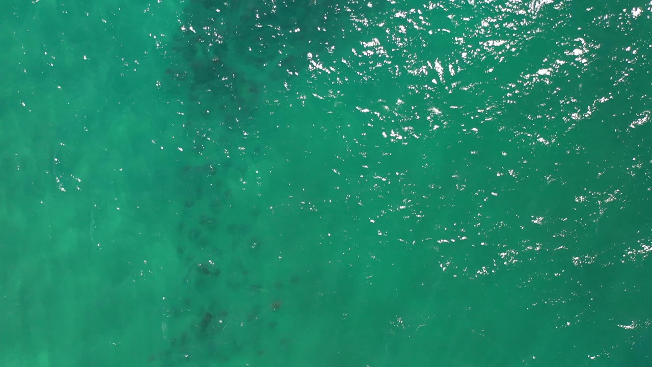 Turquoise water seen from above with small dark fish marks.