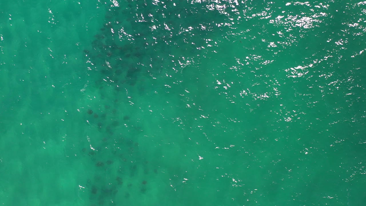 Overhead view of green ocean water near Los Cabos, Mexico, with scattered dark underwater patches and no visible people.
