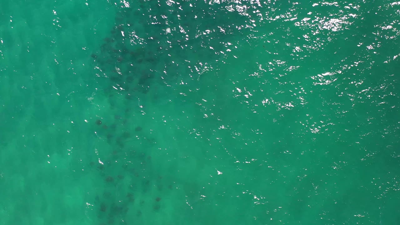 Clear green ocean surface near Los Cabos, Mexico, with small bright ripples and darker forms faintly visible below, no visible people.