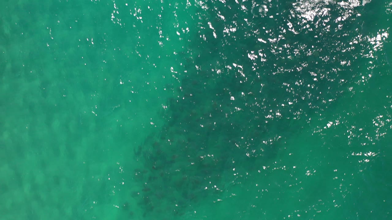 Overhead teal ocean water with ripples and bright highlights