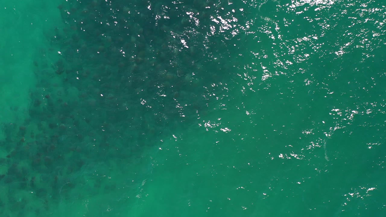 Overhead view of green ocean water in Los Cabos, Mexico, with rippled surface texture, bright white reflections, darker underwater patches, and no visible people.