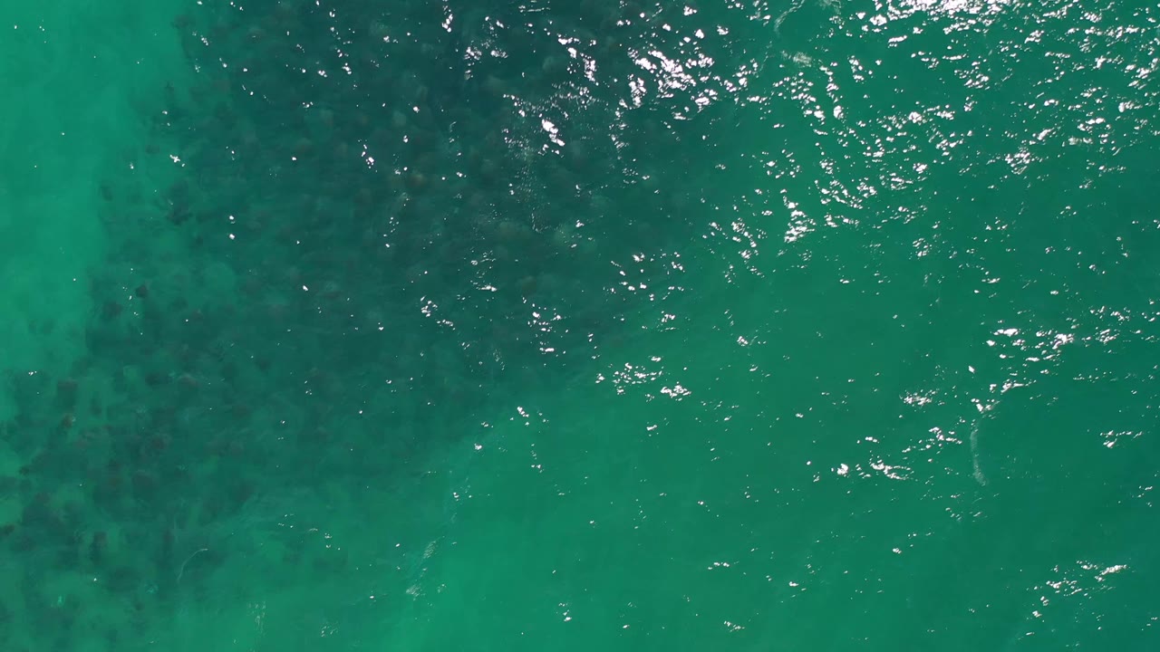 Aerial frame over green Los Cabos sea water, showing small surface ripples, scattered light reflections, and broad darker areas beneath the water with no visible people.