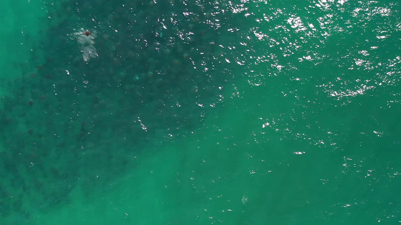 Top-down Los Cabos ocean frame with a wide green water field, brighter ripple highlights across the upper area, dark underwater formations, and no visible people.