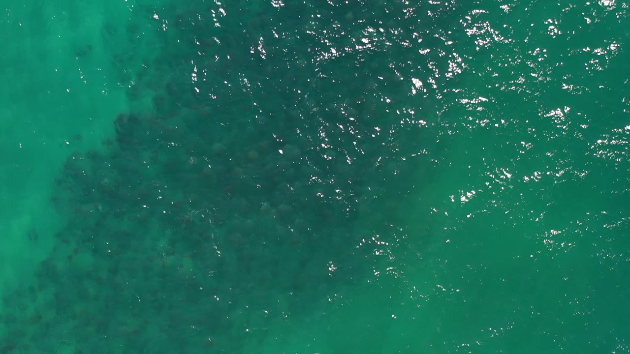 Aerial ocean view with darker fish band under clear water