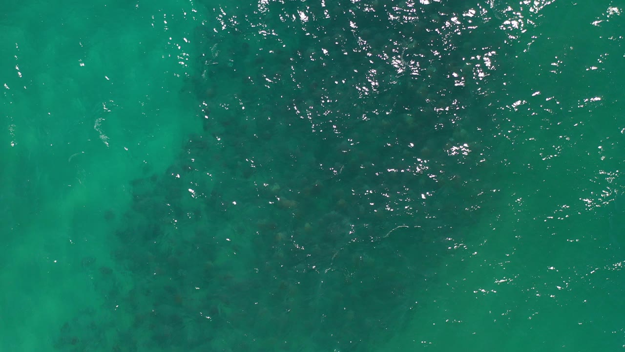 Top-down view of turquoise green ocean water in Los Cabos, Mexico, with scattered sun reflections and darker seabed areas visible below, no visible people.