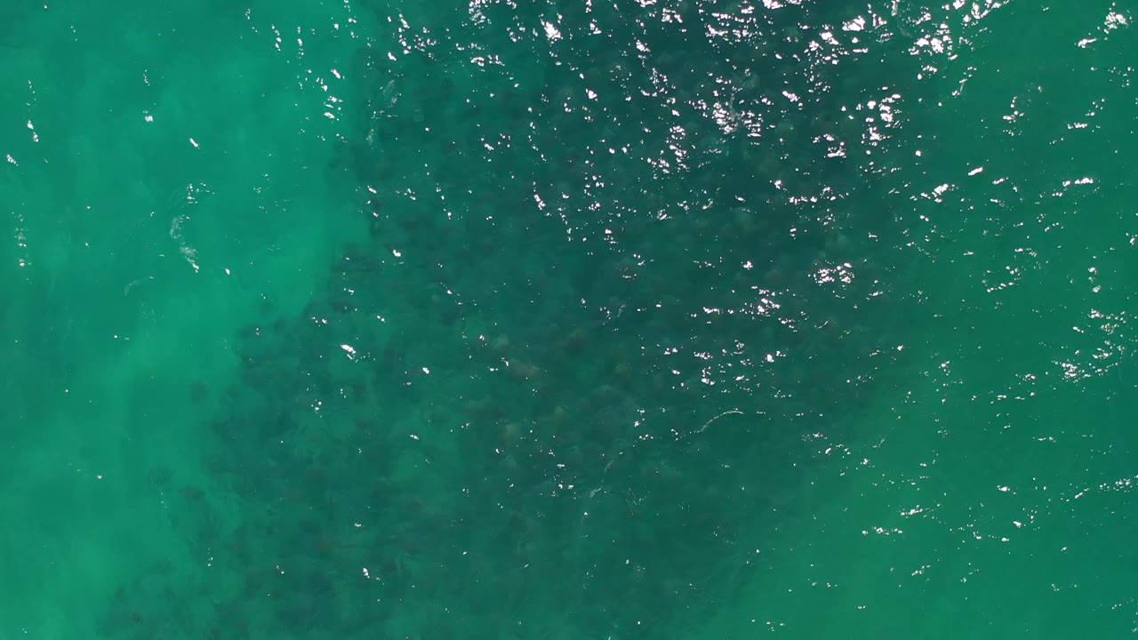 Overhead frame of clear green ocean water in Los Cabos, Mexico, with brighter ripples near the upper area and soft darker shapes under the surface, no visible people.