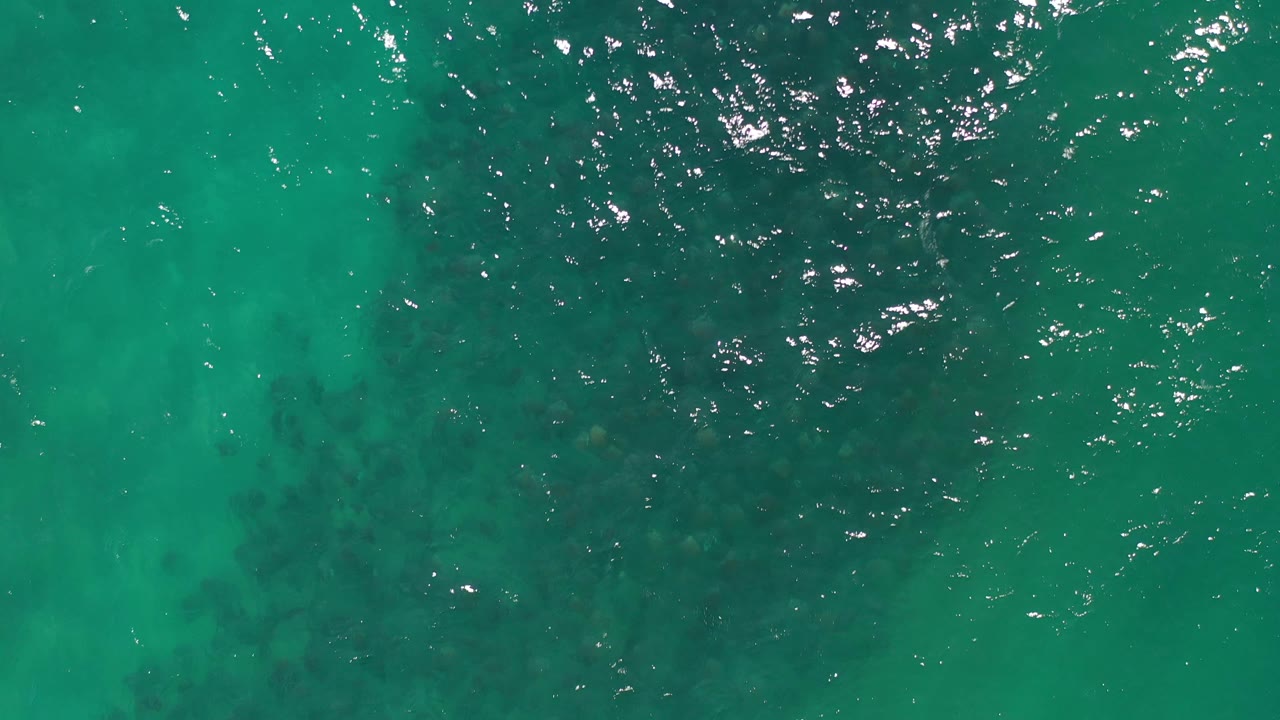 Green-blue ocean surface over shadowed seabed