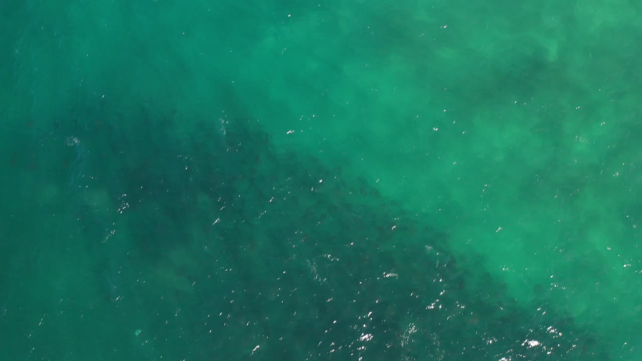 Overhead green ocean water with darker submerged patches