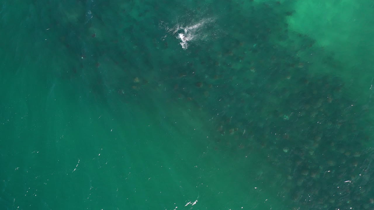 Overhead view of green ocean water in Los Cabos, Mexico, with dark underwater texture and a small white splash near the upper edge, no visible people.