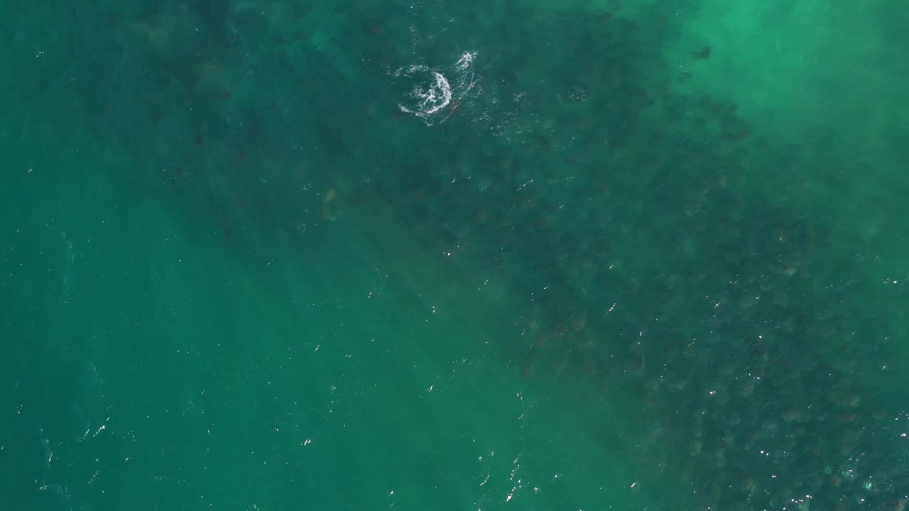Aerial view of green ocean with darker reef-like areas below and a white splash near the top right.