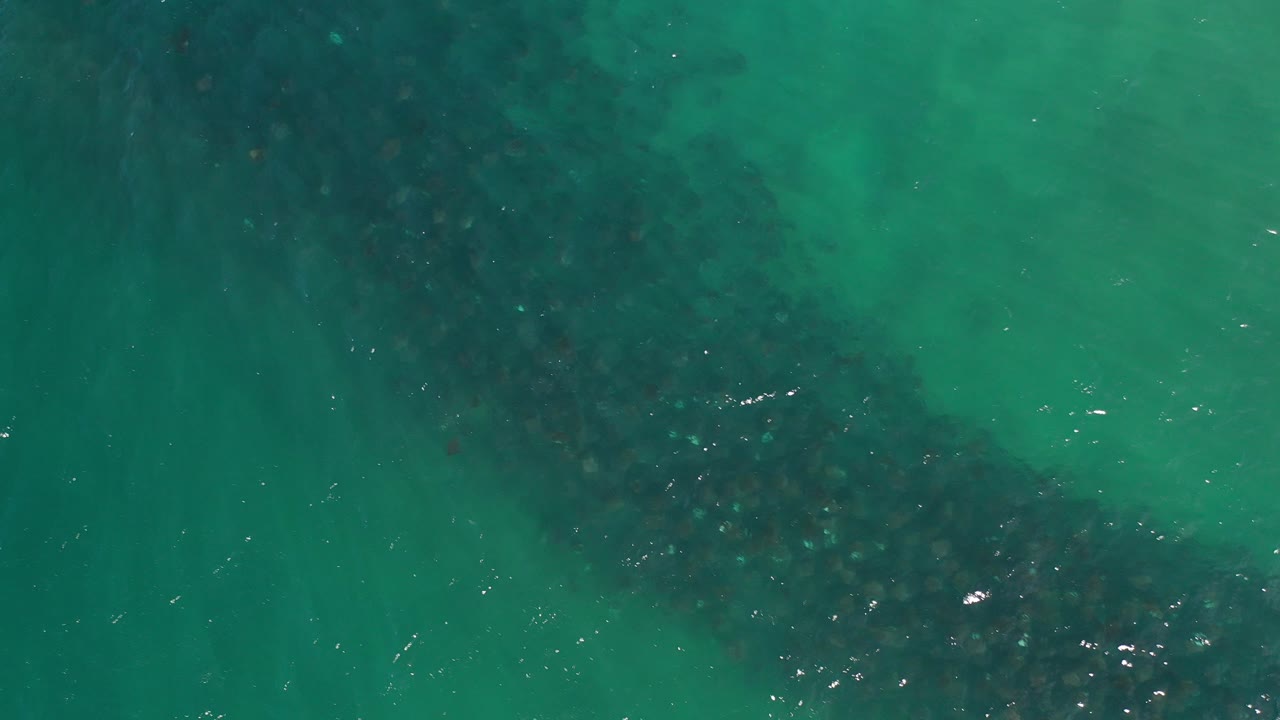 Overhead green water with a dark underwater band