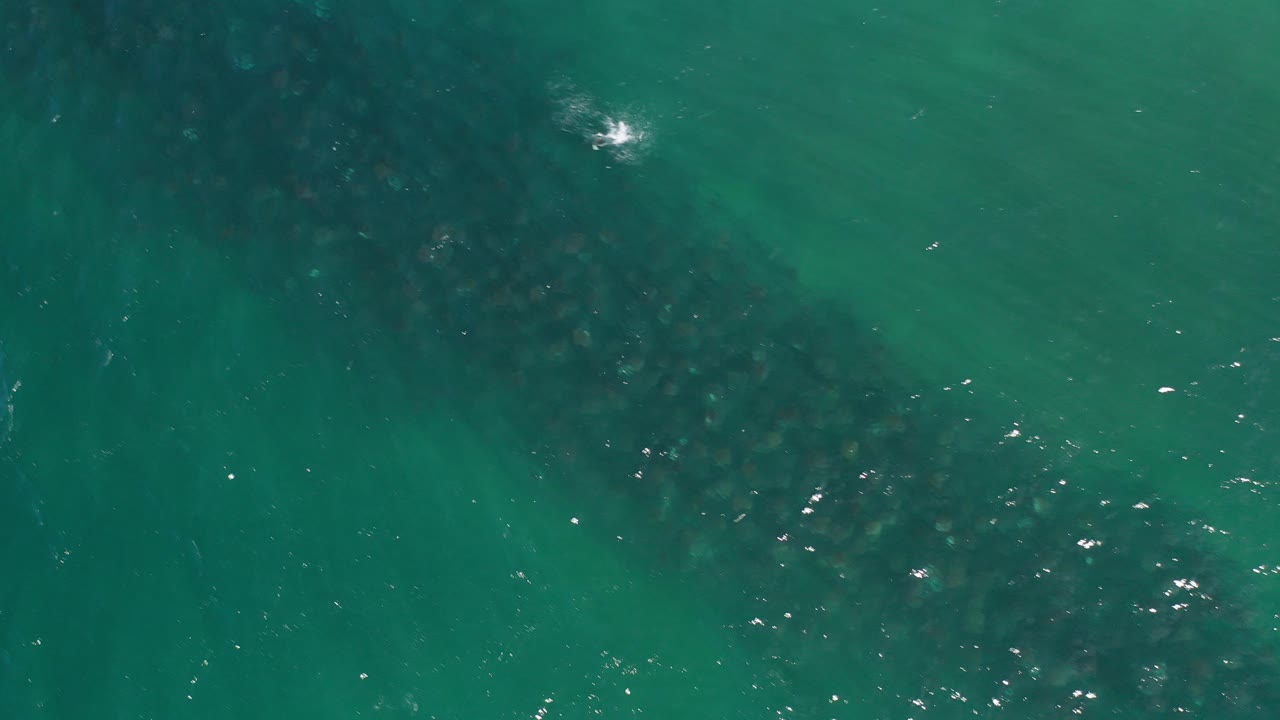 Overhead view of green-blue ocean water in Los Cabos, Mexico, with dark underwater patches and small sun glints, no visible people.