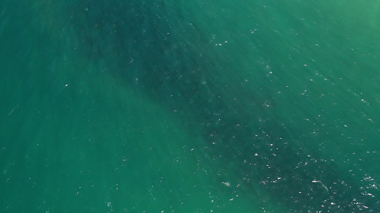 Overhead view of turquoise water in Los Cabos, Mexico, with a dark whale-shaped form faintly visible below the surface and no visible people.
