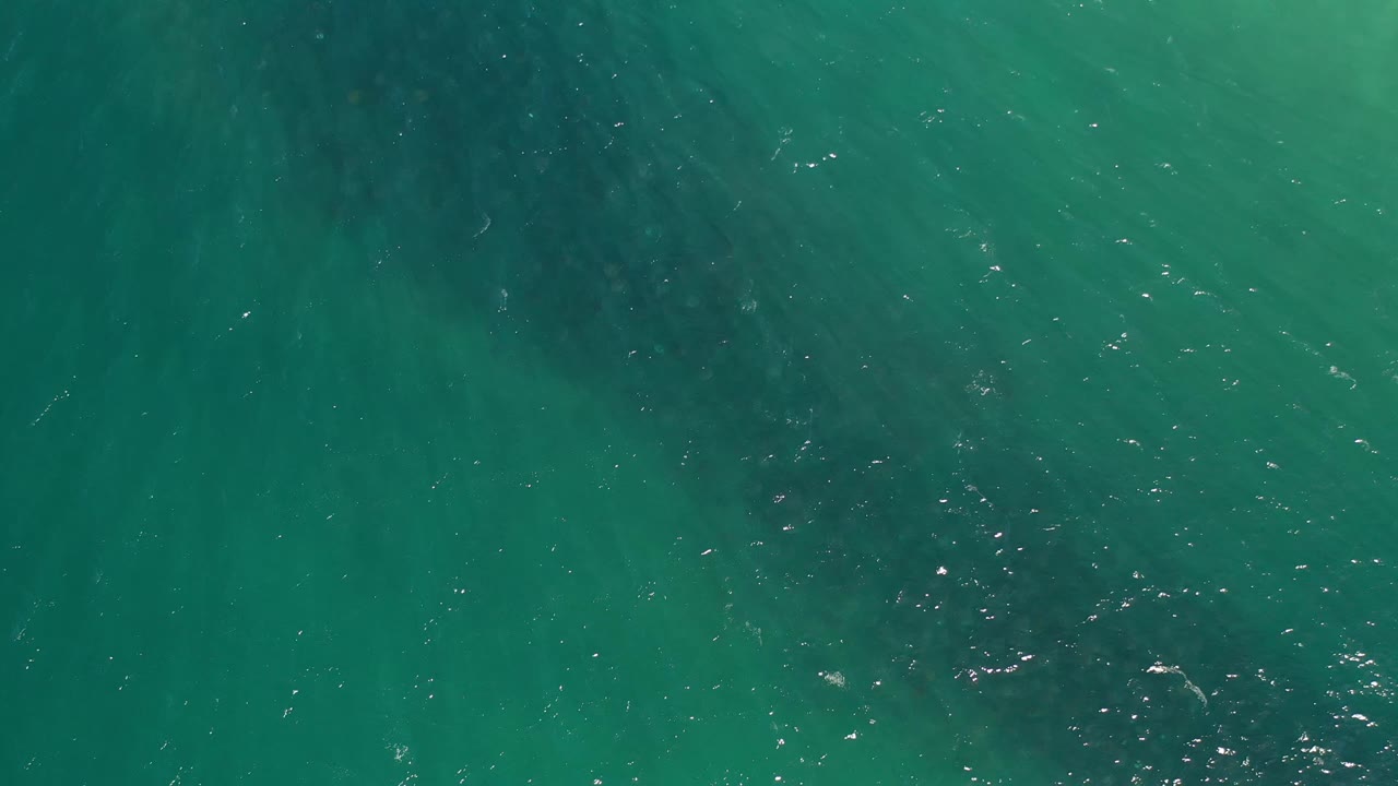 Blue-green ocean surface in Los Cabos, Mexico, with the whale shadow sitting deeper under the water and small bright ripple highlights, with no visible people.