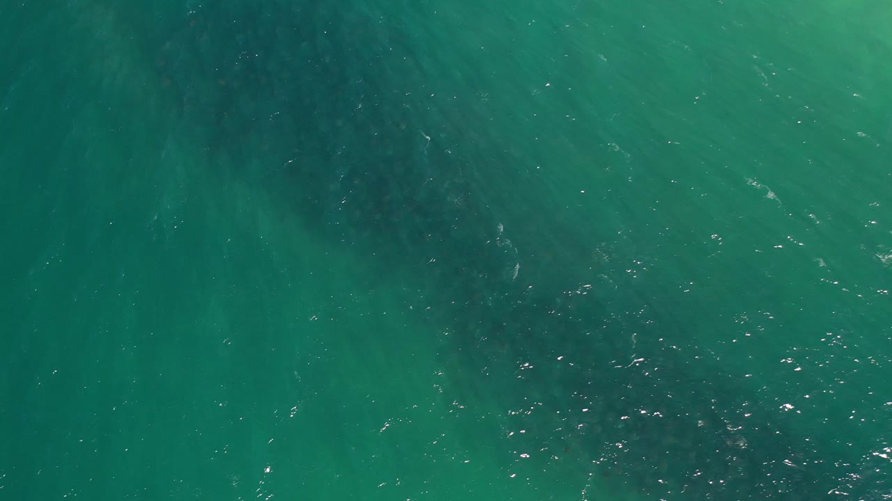 Overhead ocean water with darker underwater whale shape