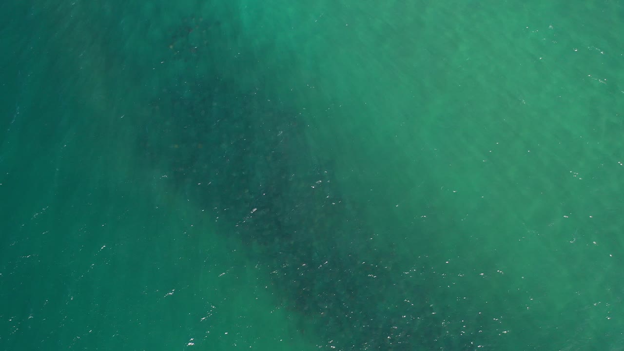Overhead frame of clear green ocean water in Los Cabos with darker submerged areas and faint white surface flecks, no visible people.