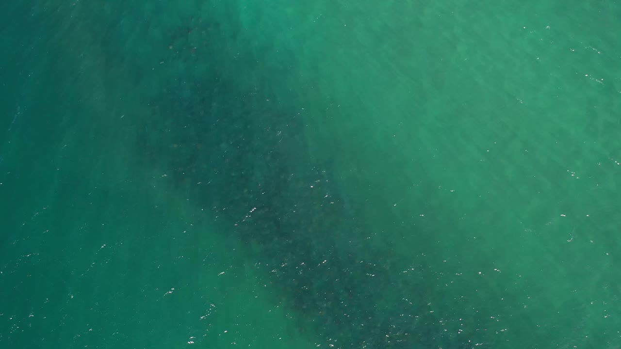 Clear green water fills the frame in Los Cabos, with darker bands under the surface and small highlights scattered across the top, no visible people.