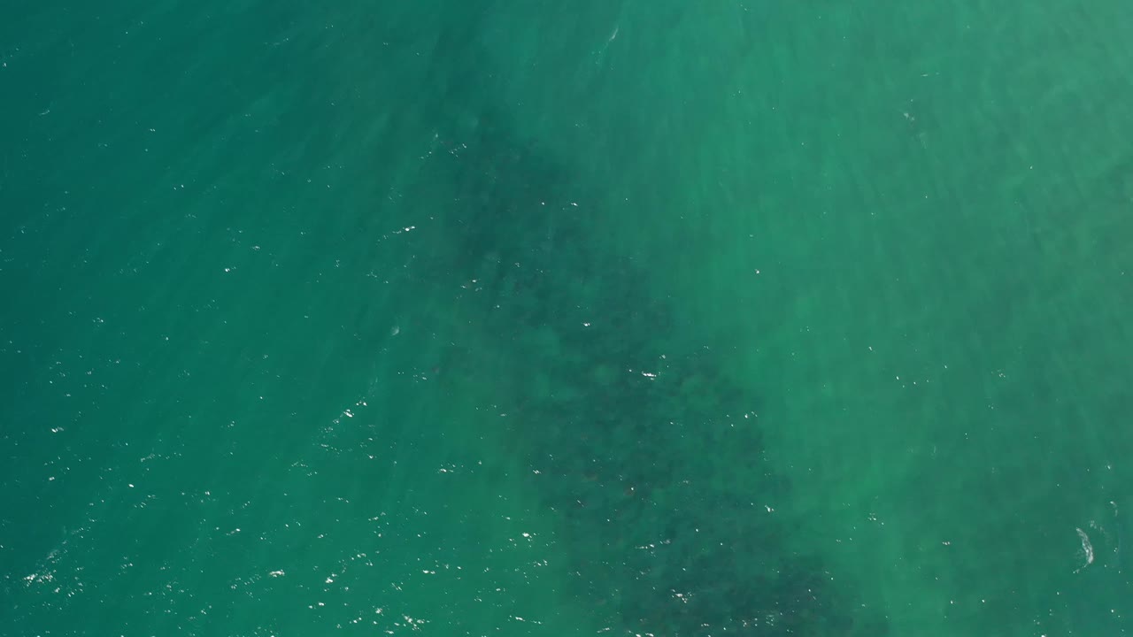 Top-down Los Cabos ocean frame with teal water, a broad dark underwater patch near center, scattered ripples, and no visible people.