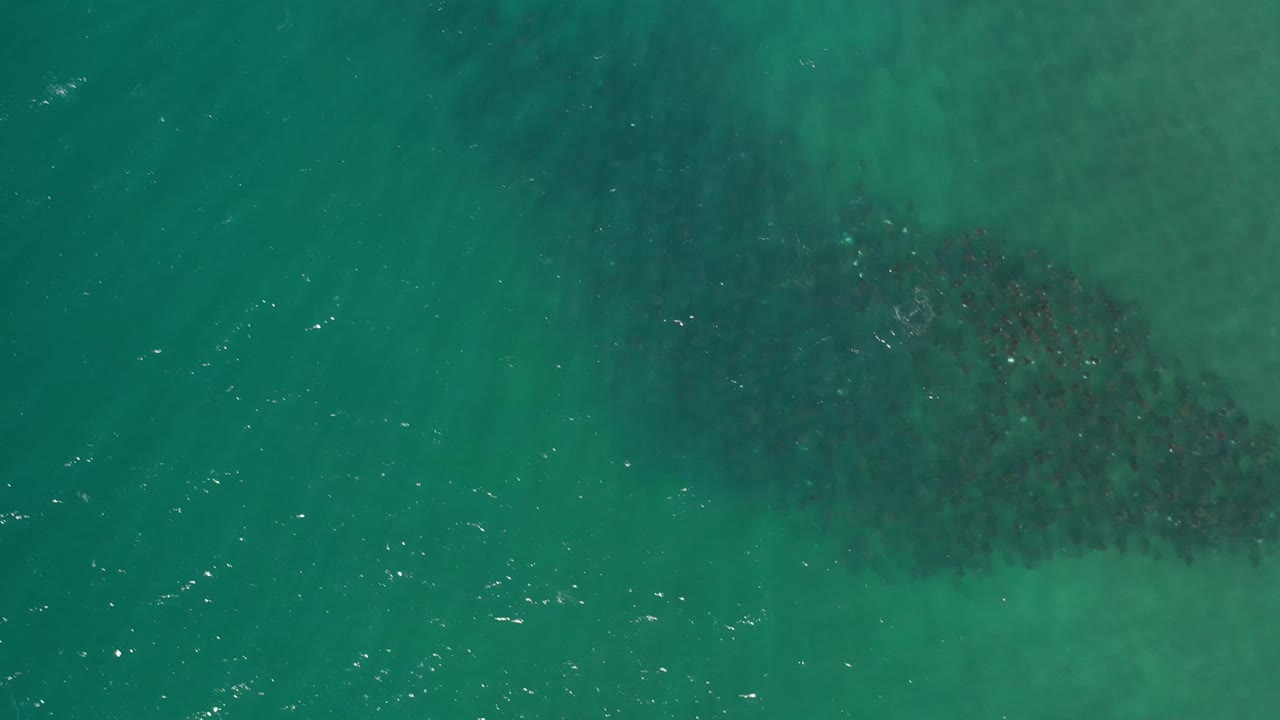 Overhead Los Cabos water view with the dark underwater mass centered high in the frame and scattered bright ripples across the teal surface, no visible people.