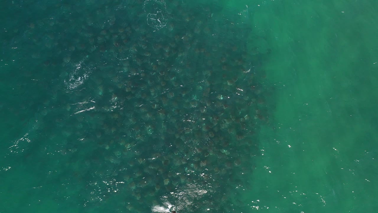 Overhead view of turquoise seawater in Los Cabos, Mexico, with a large dark submerged area entering from the left and no visible people.