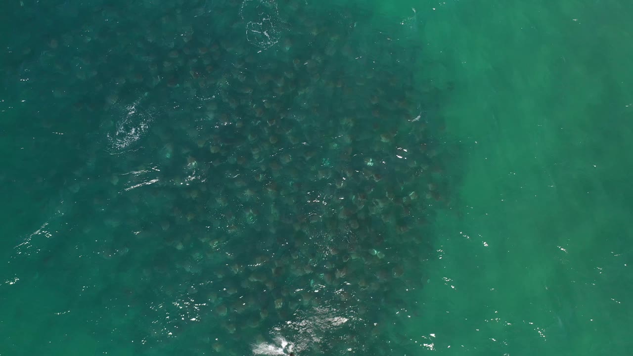 Top-down Los Cabos water view with dark underwater texture spread across the lower left and center, small bright ripples, and no visible people.