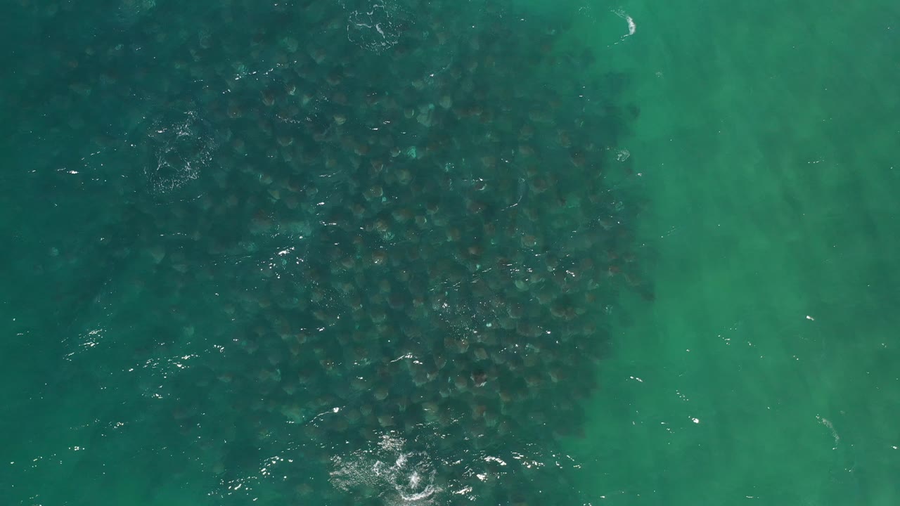 Aerial water surface with dark reef-like shapes