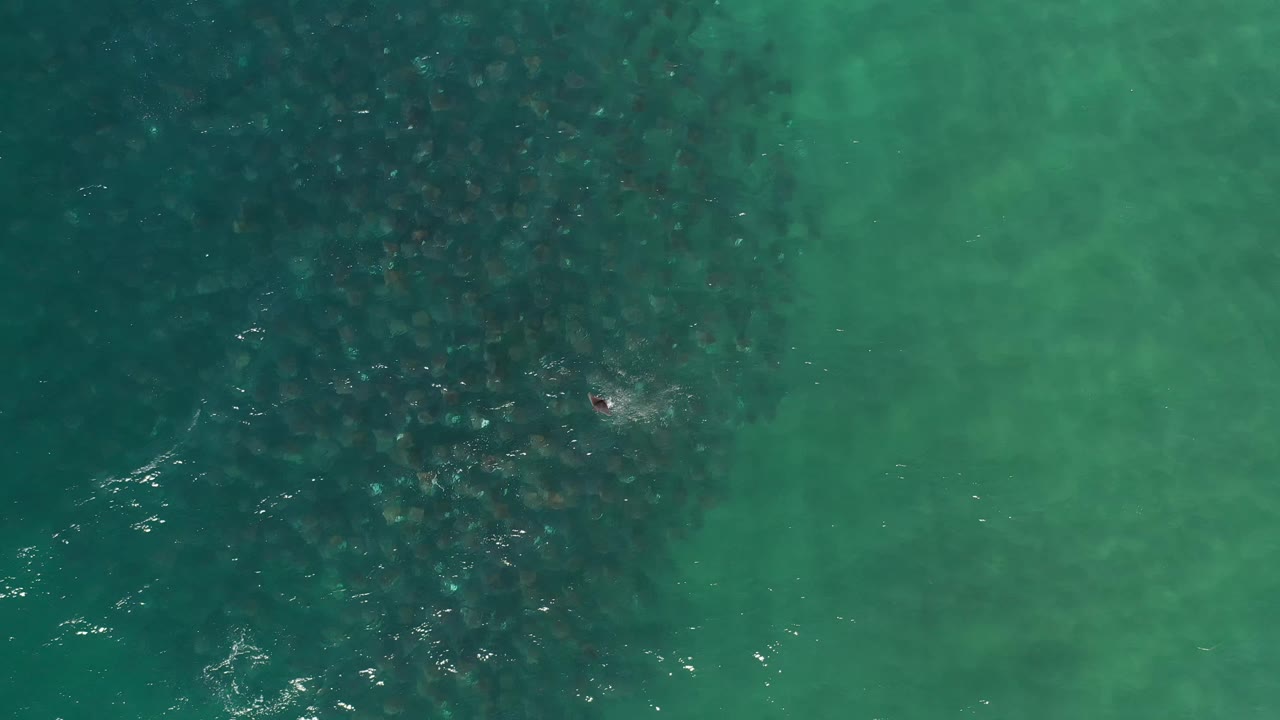 Top-down Los Cabos water frame with a broad dark submerged patch, pale green shallows, scattered white ripples, and no clearly visible person.
