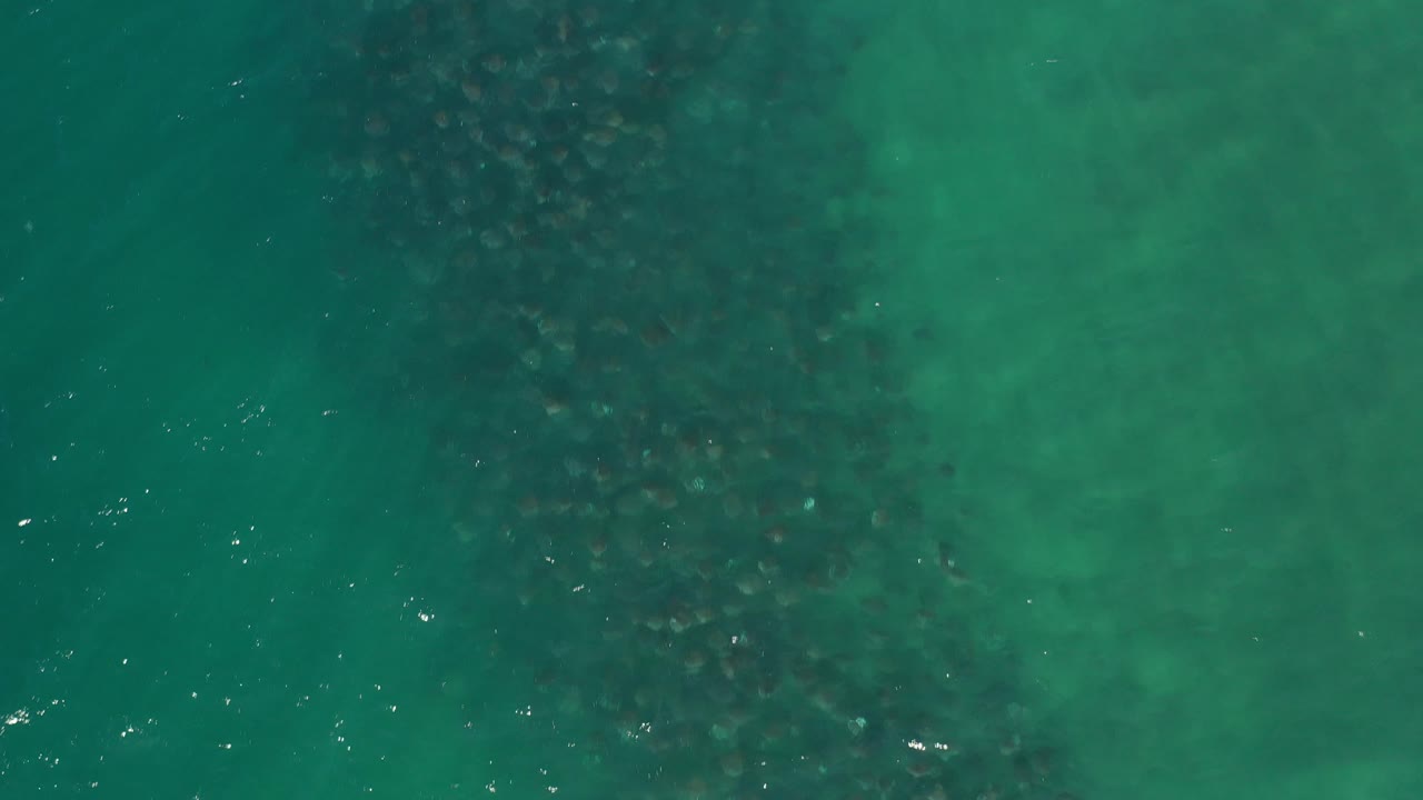 Turquoise ocean surface with a dark underwater mass and scattered highlights.