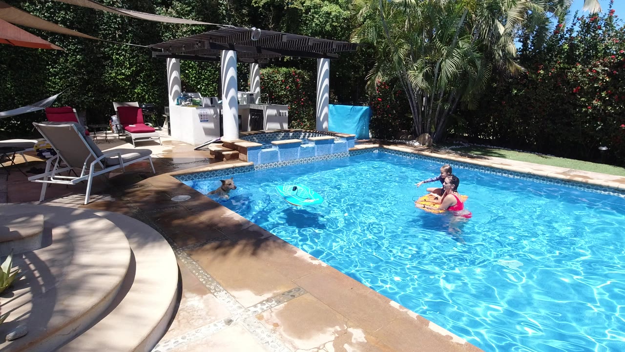 Children and a dog in a sunny backyard pool.