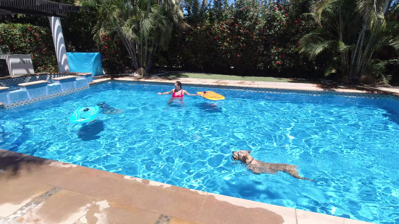 At 0:02 in Los Cabos, Mexico, the frame widens to show the dog swimming on the right side of the pool, a person near the floats, and lounge furniture near a shaded patio structure.