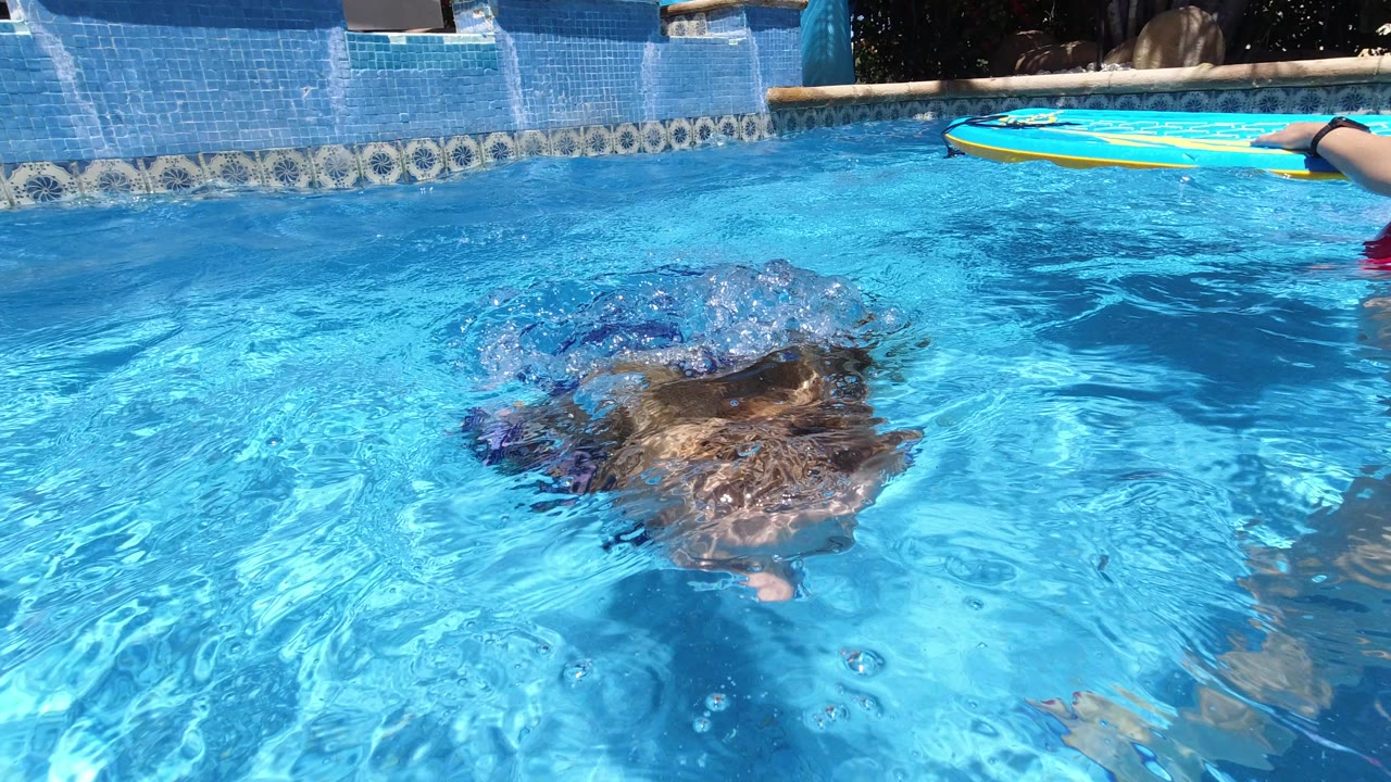 Child underwater in a blue swimming pool near the surface.