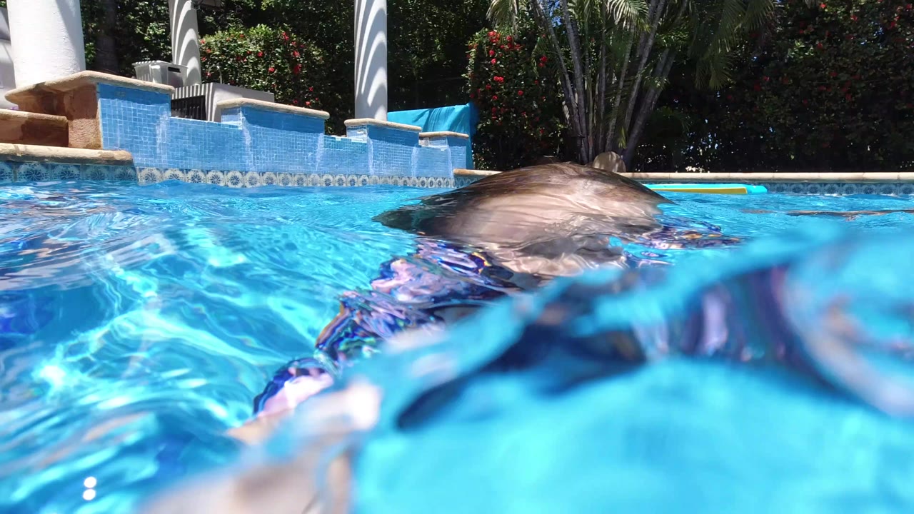 A blonde child in patterned swimwear swims near the surface of a bright blue pool in Los Cabos, Mexico, with pool tile and columns in the background.