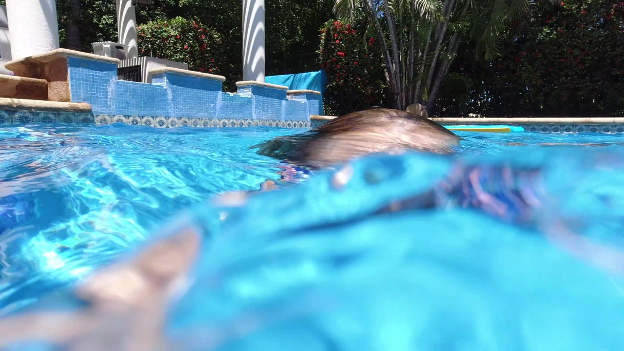 Child partly submerged near the pool surface