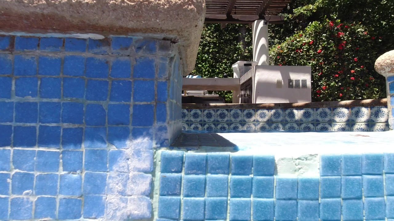 Blue tiled pool edge in bright sun with no visible people.