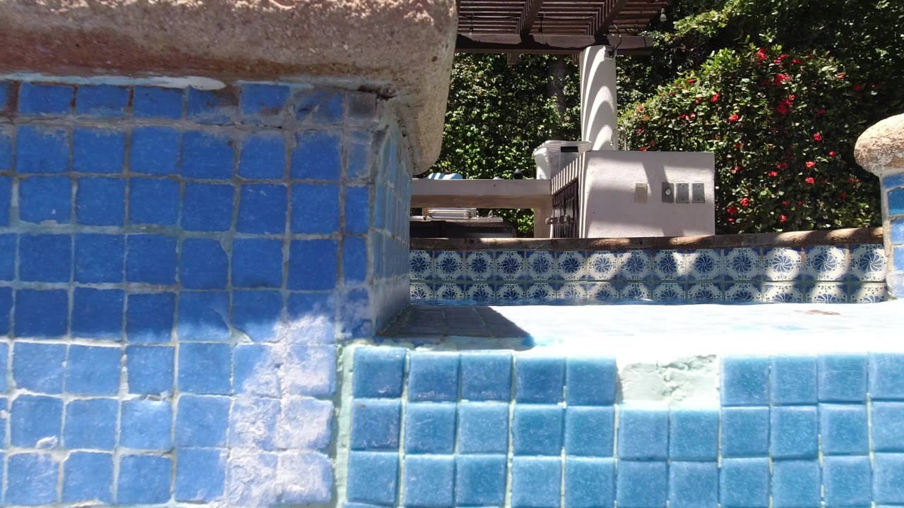 A low view across blue pool tiles shows shallow water, sunlit coping, patterned tile in the background, and no visible people in this Los Cabos pool frame.