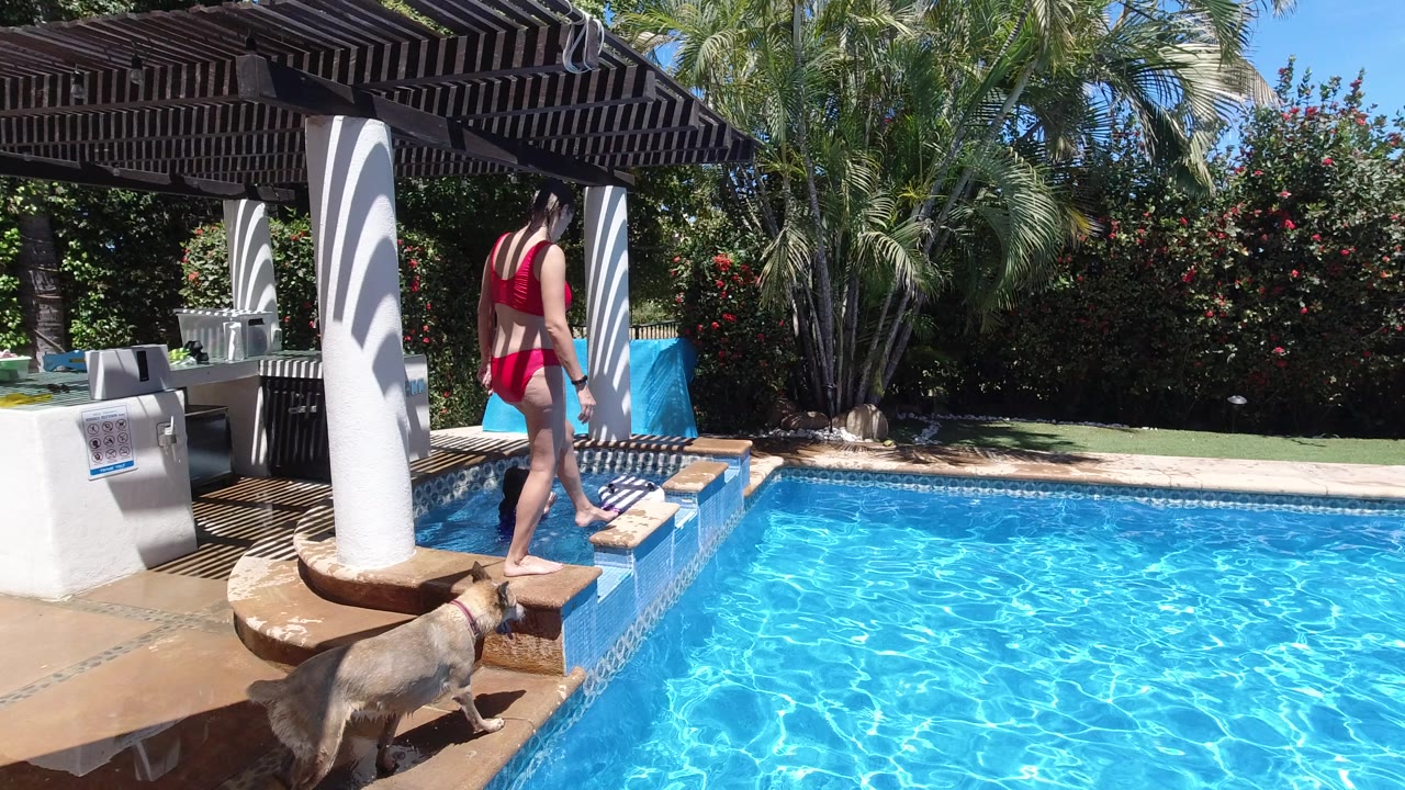 In Los Cabos, Mexico, a girl in a red bikini steps along a narrow pool ledge while a light-colored dog stands near the water, with a pergola, columns, palms, and bright blue pool water visible.