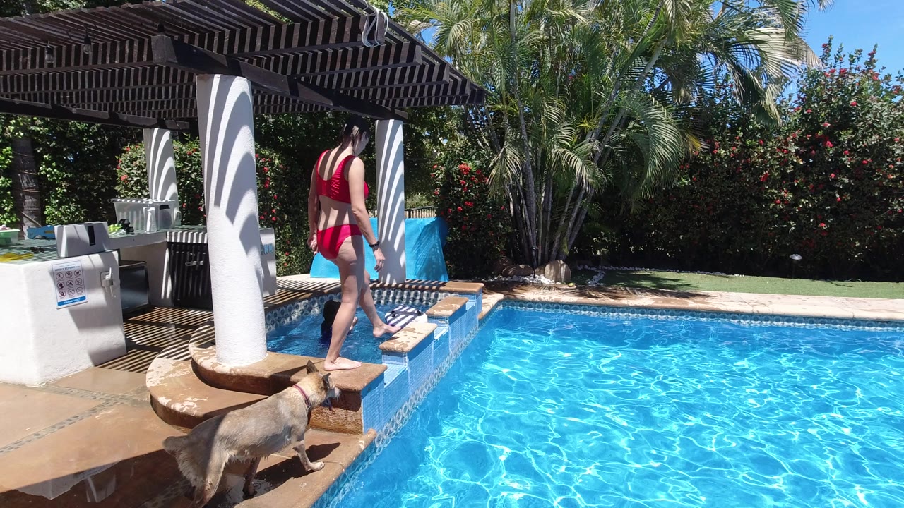In Los Cabos, Mexico, the girl in red swimwear moves farther along the pool ledge as the light-colored dog remains on the patio edge near the turquoise water and shaded pergola posts.