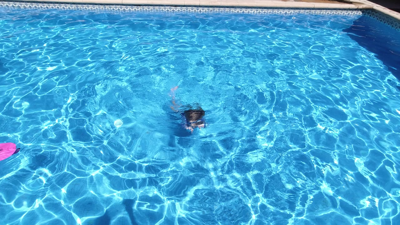 Child partly underwater in a bright blue swimming pool.