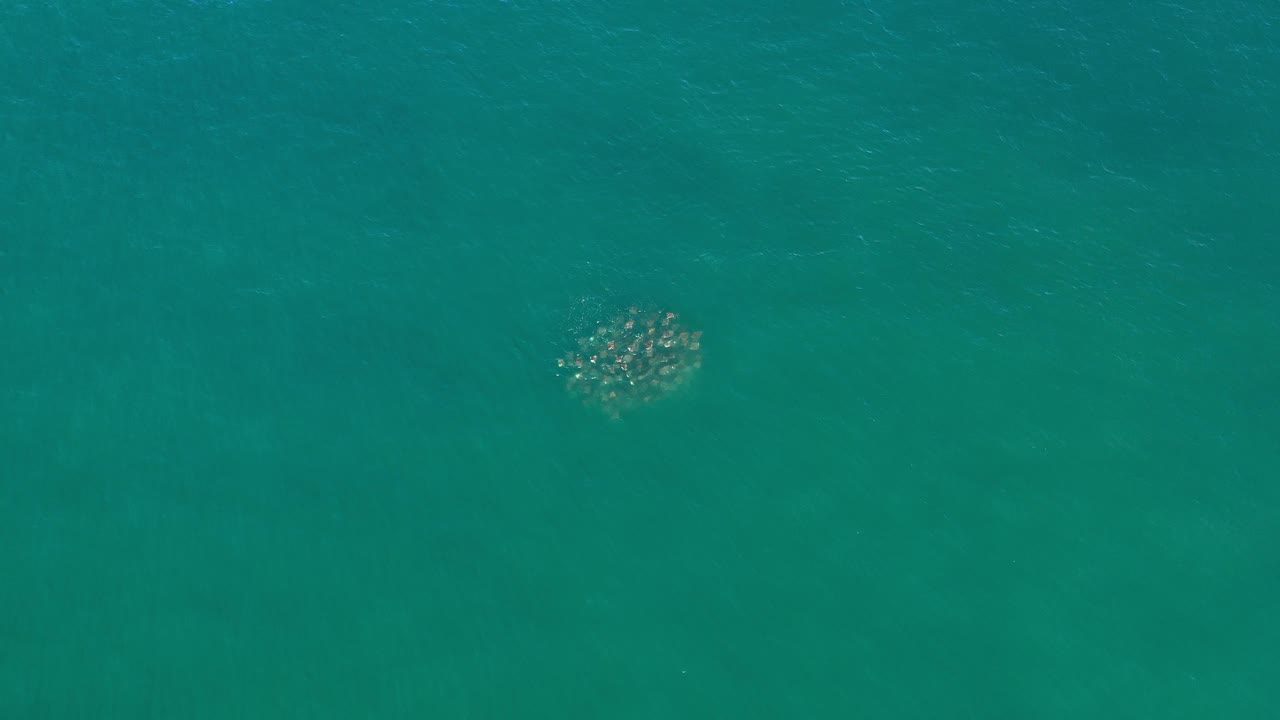 Overhead view of turquoise water in Los Cabos, Mexico, with a small pale cluster of unidentified marine life near the upper left and no visible people.
