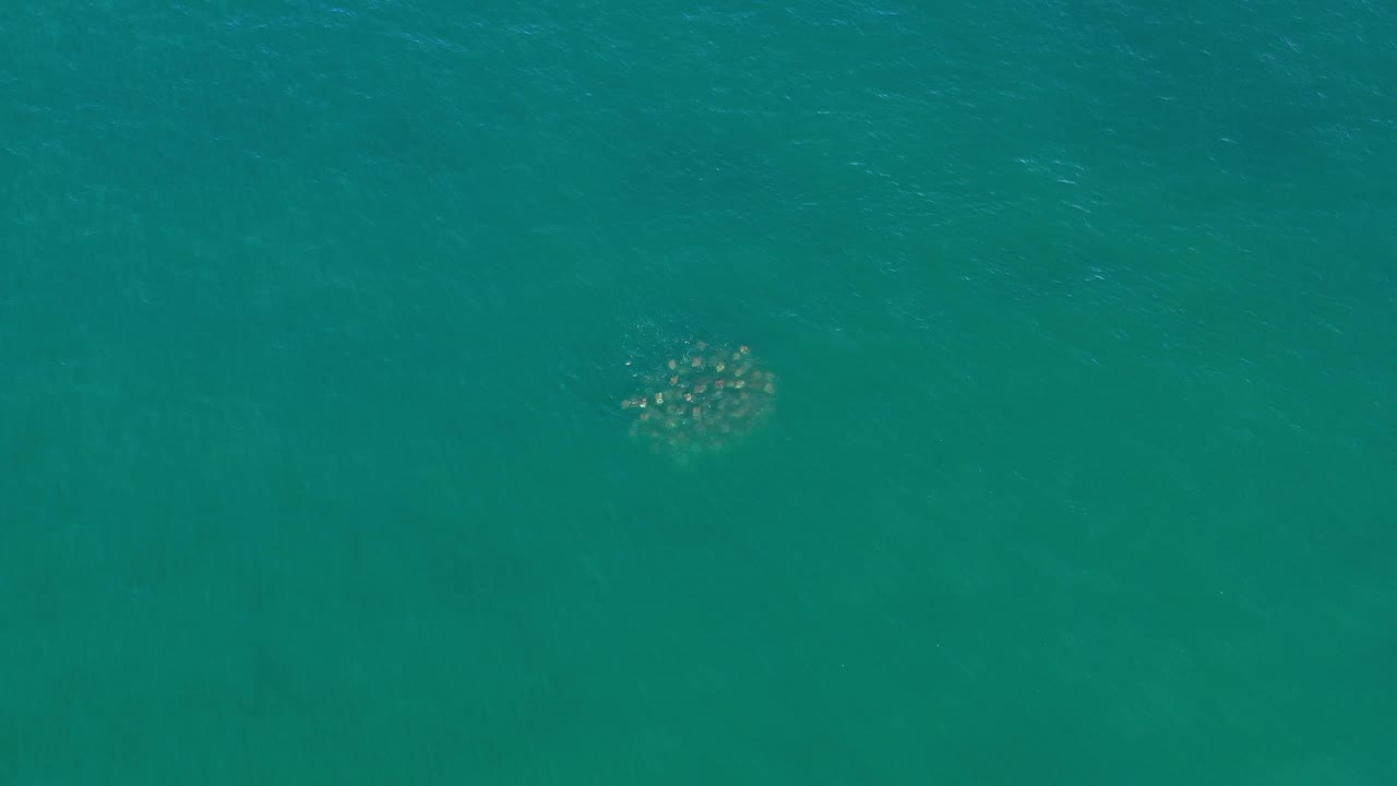 Overhead ocean frame with a compact light-colored marine cluster near the upper right.