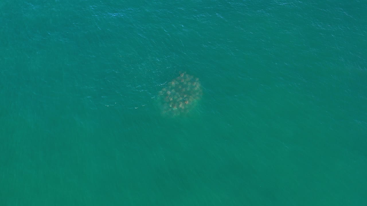 Overhead turquoise ocean with a pale underwater shape near the upper left.
