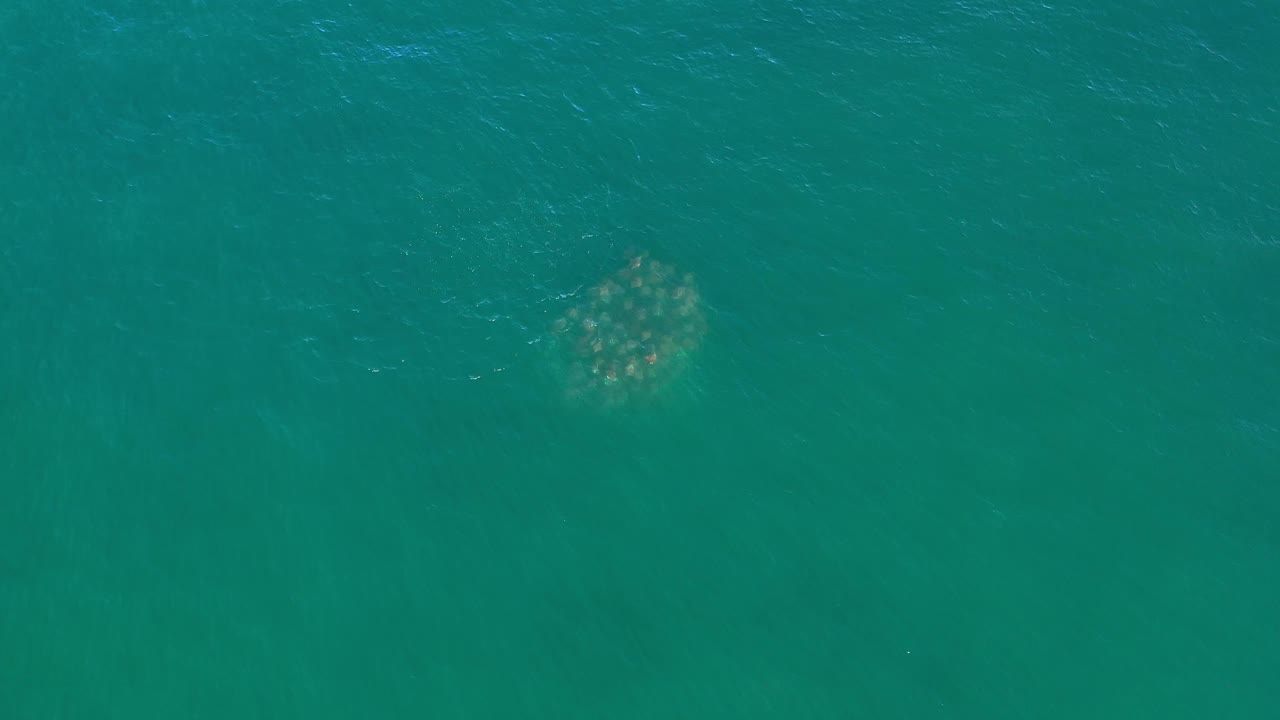 Overhead Los Cabos ocean frame with the pale underwater form shifted nearer the upper center beneath textured blue-green water, with no visible people.